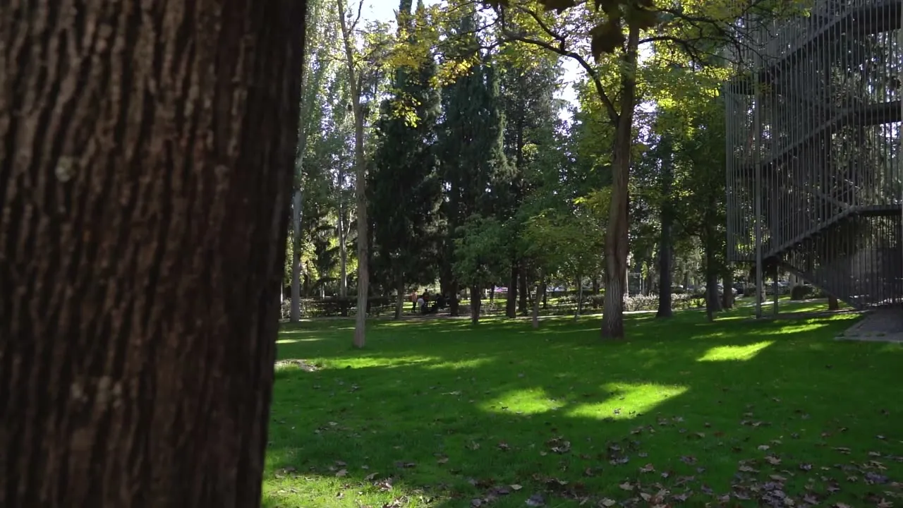 Corporativo — vídeo 3
